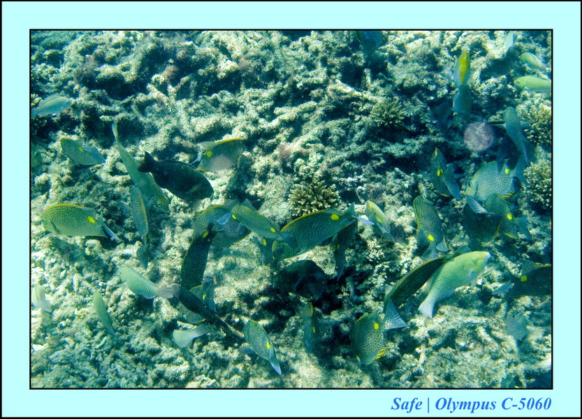 2008 - 07 - Leng Tengah - 051